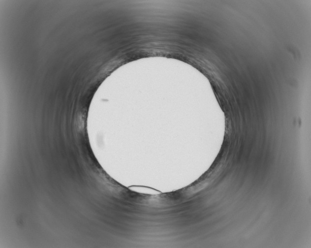 X0000111630382200908281140