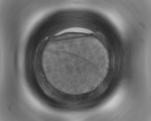 X0000111630383200908281140