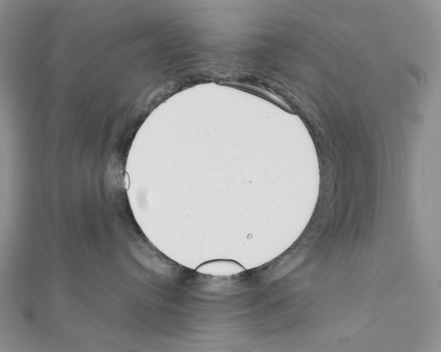X0000111630384200908281140