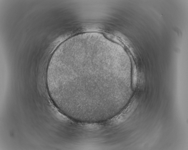 X0000111630385200908281139