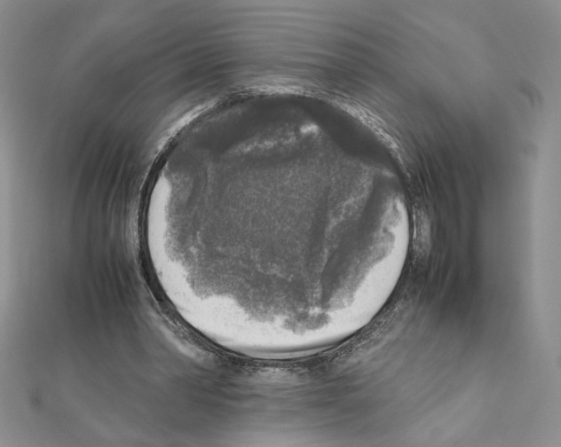 X0000111630390200908281139