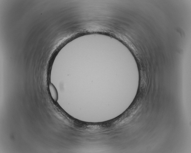 X0000111630391200908281139
