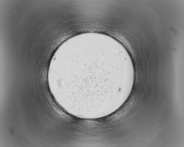 X0000111630393200908281139