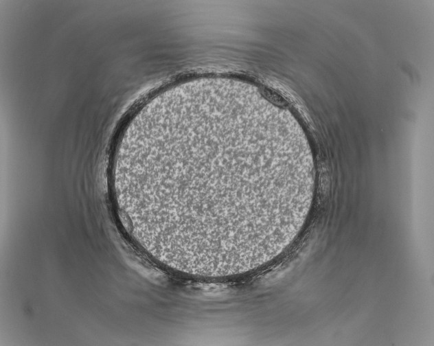 X0000111630395200908281139