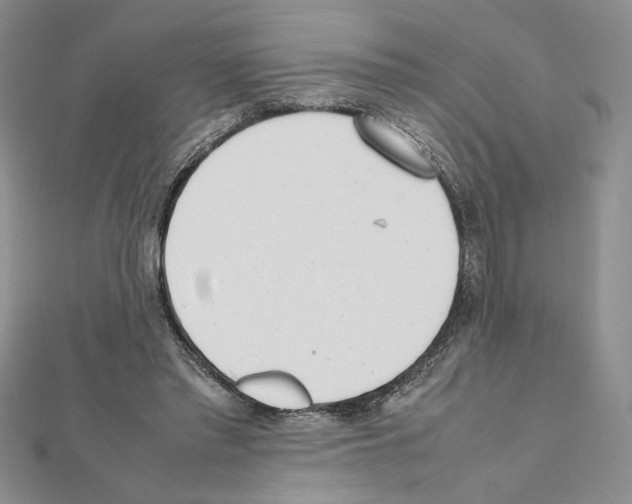 X0000111630397200908281139