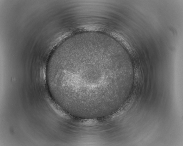 X0000111630398200908281139