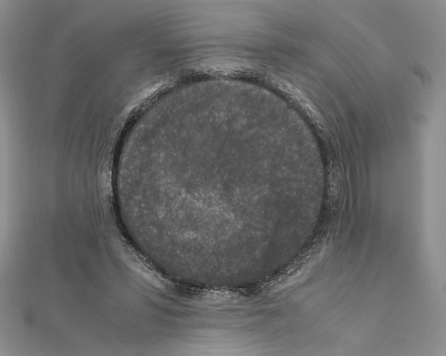 X0000111630399200908281139