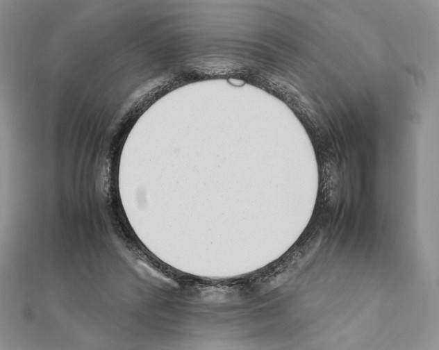 X0000111630400200908281139