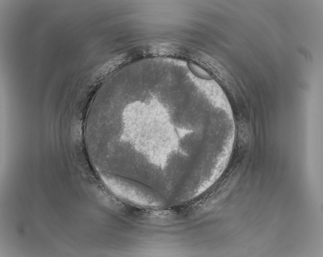 X0000111630401200908281139
