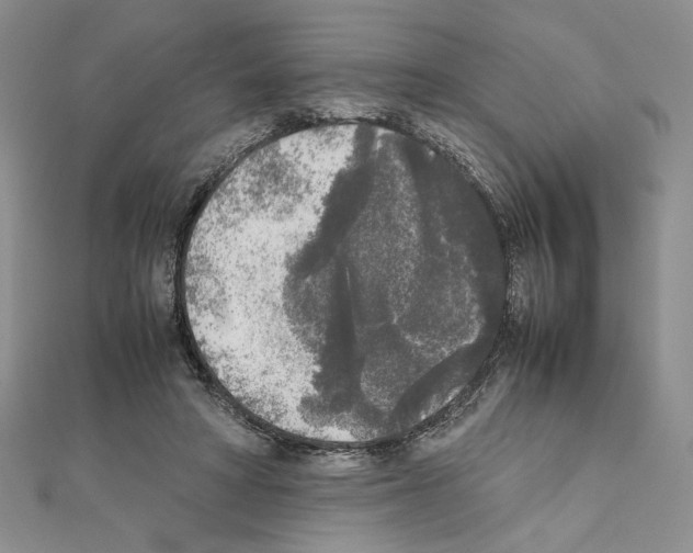 X0000111630402200908281139