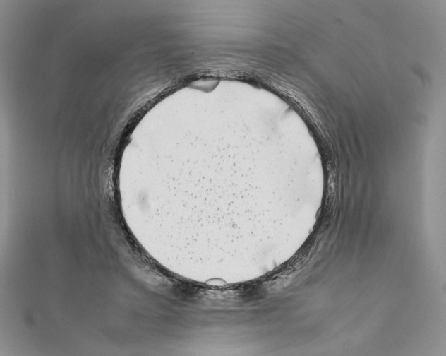 X0000111630403200908281139