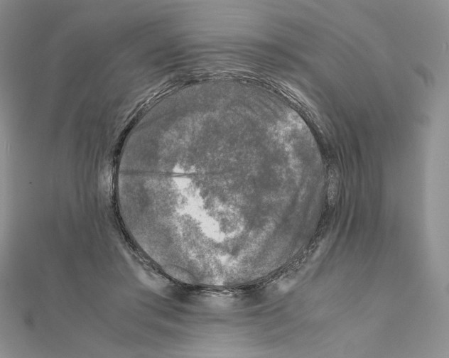 X0000111630405200908281139