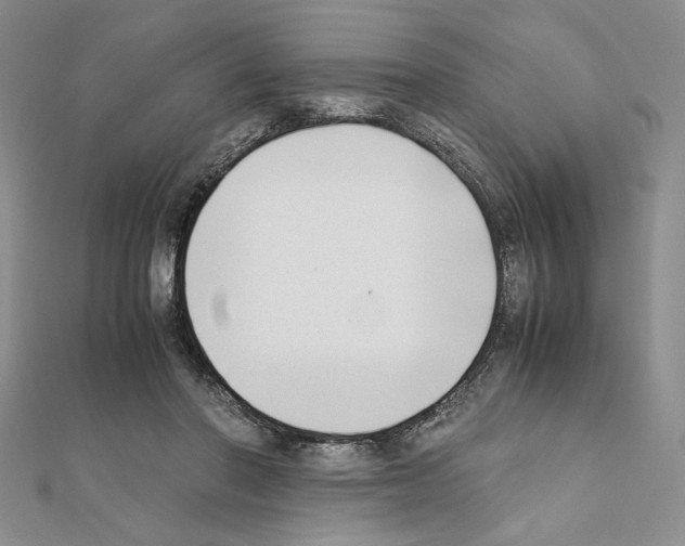 X0000111630406200908281139