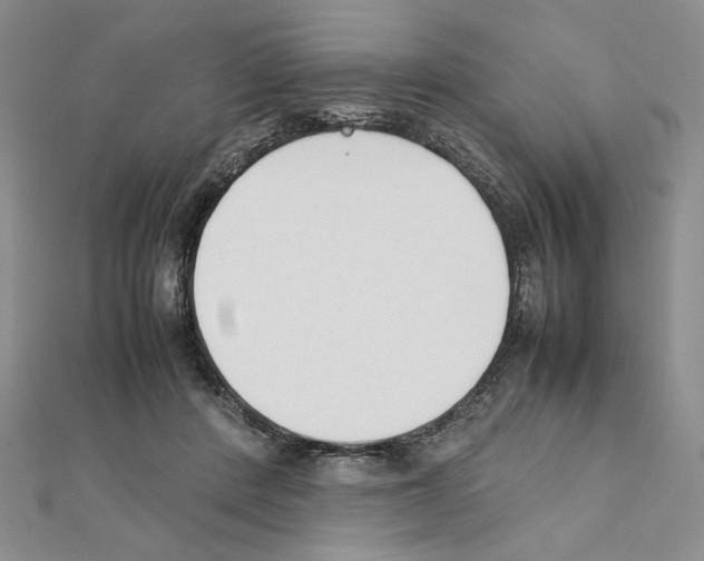 X0000111630408200908281139