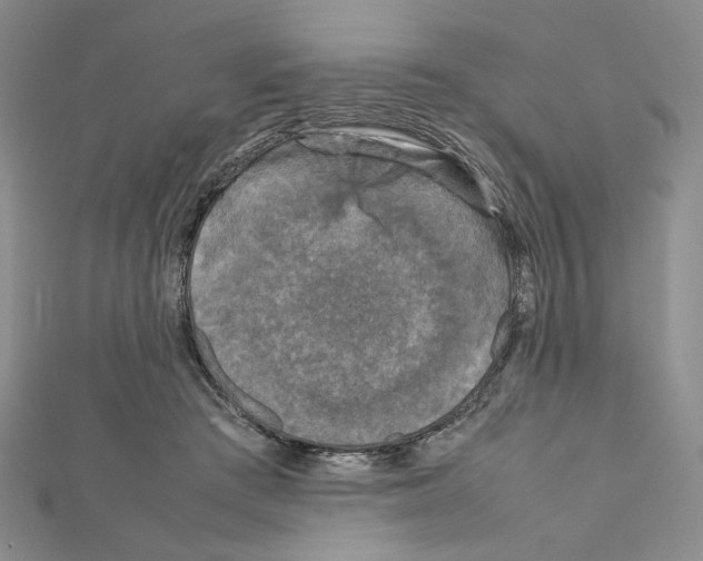 X0000111630409200908281139