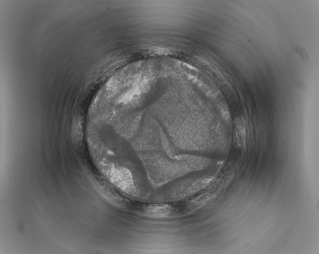 X0000111630410200908281139