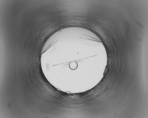 X0000111630411200908281139