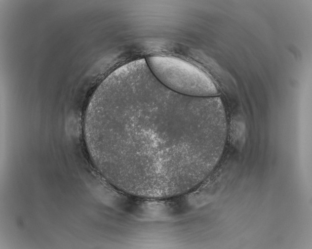 X0000111630413200908281139