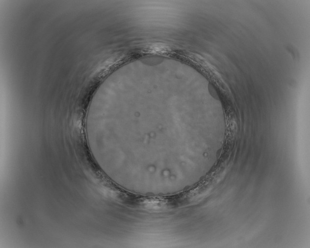 X0000111630415200908281139