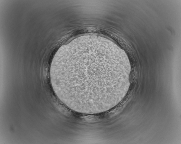 X0000111630417200908281139
