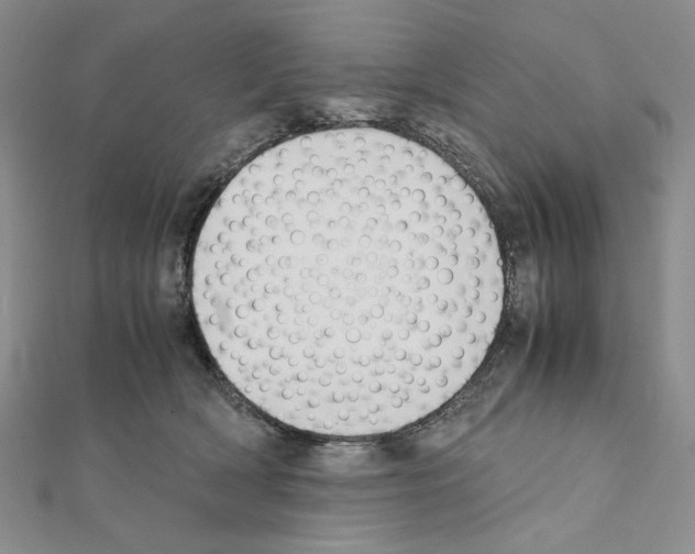 X0000111630418200908281139