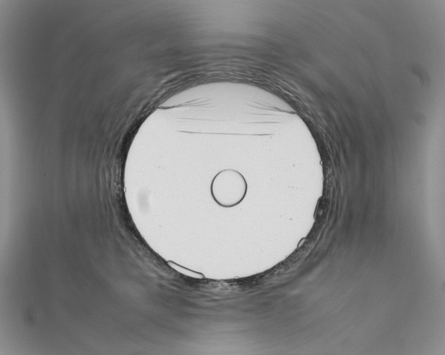 X0000111630421200908281139