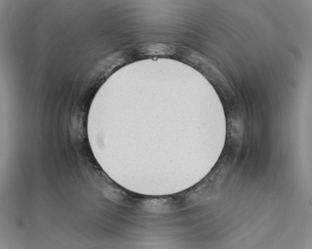 X0000111630422200908281139