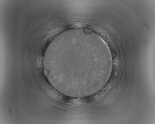 X0000111630423200908281139