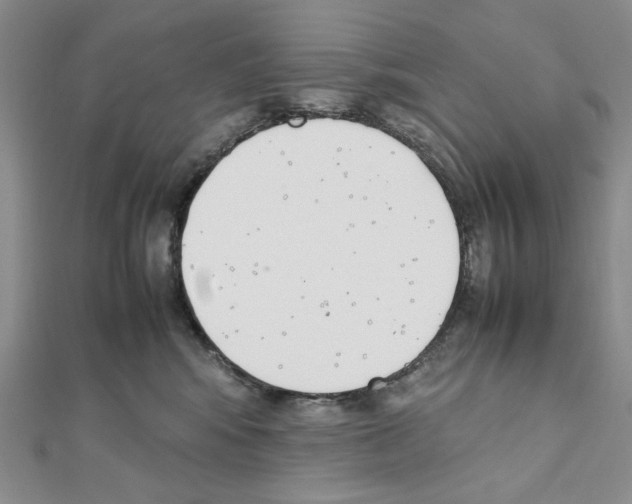 X0000111630424200908281139