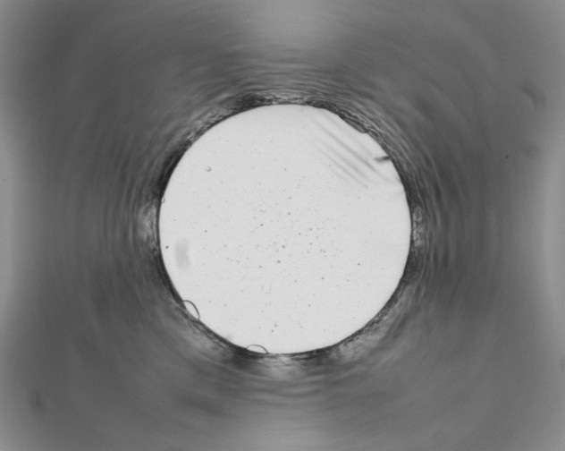 X0000111630425200908281139