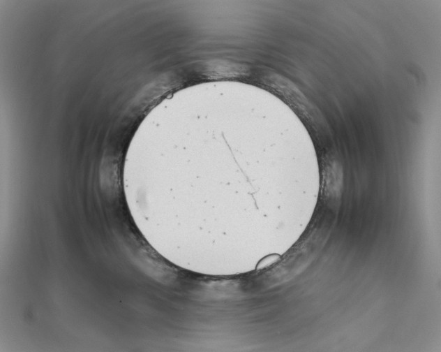 X0000111630426200908281139