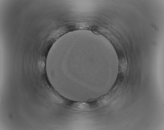 X0000111630427200908281138