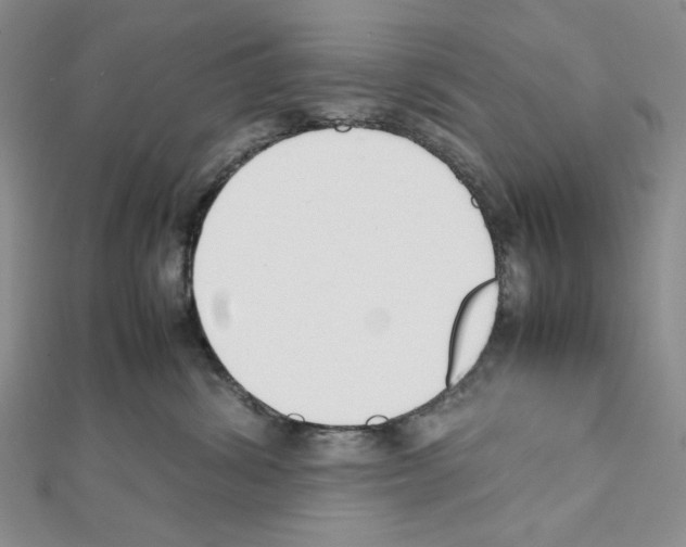 X0000111630428200908281138