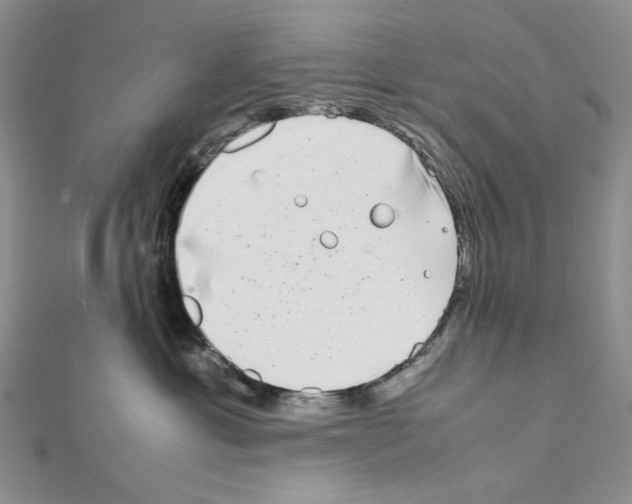 X0000111630429200908281138
