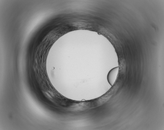 X0000111630430200908281138