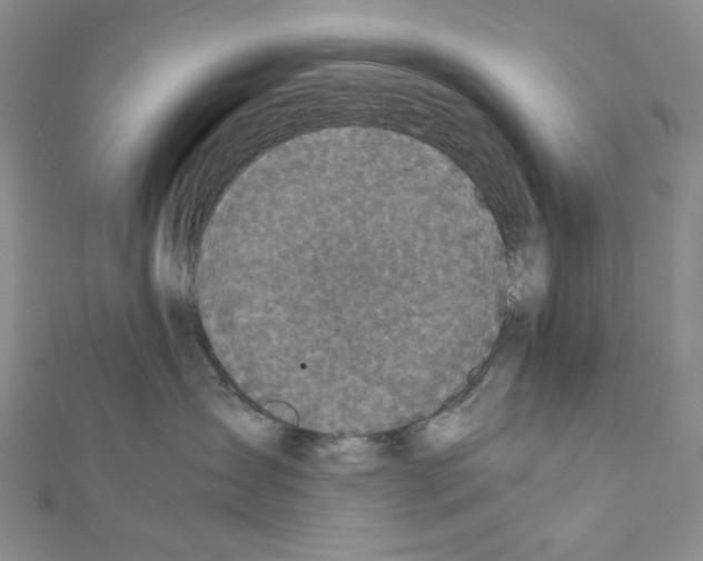 X0000111630431200908281138