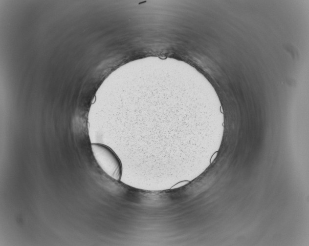 X0000111630432200908281138