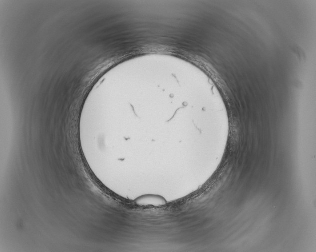 X0000111630433200908281138