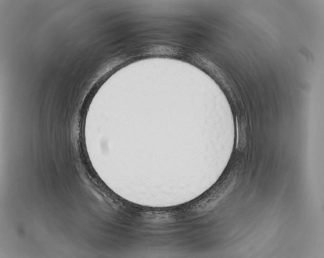 X0000111630435200908281138