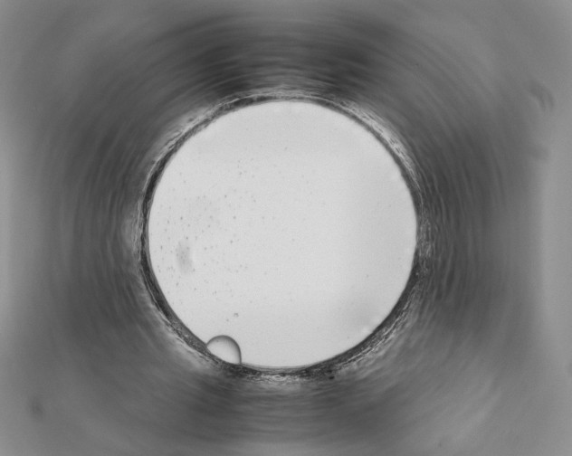 X0000111630437200908281138