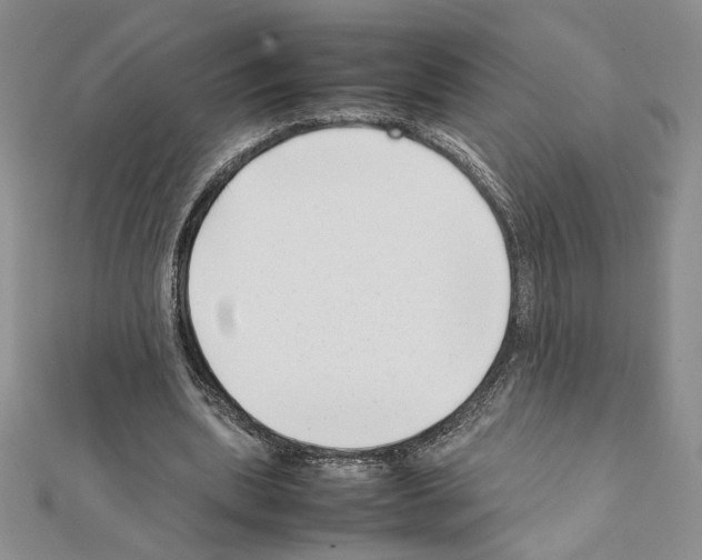 X0000111630439200908281138