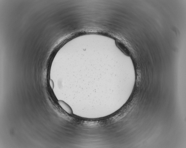X0000111630440200908281138