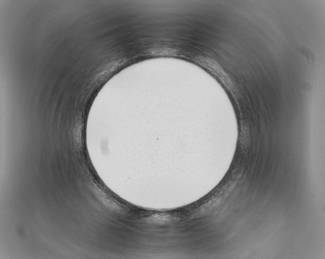 X0000111630441200908281138