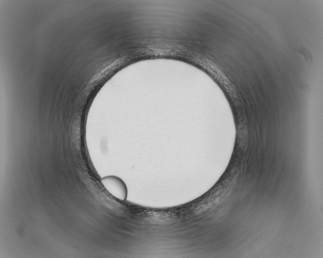 X0000111630442200908281138