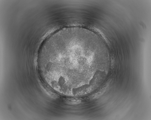 X0000111630443200908281138
