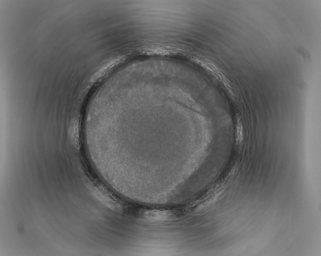 X0000111630444200908281138