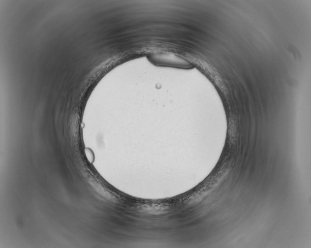 X0000111630445200908281138