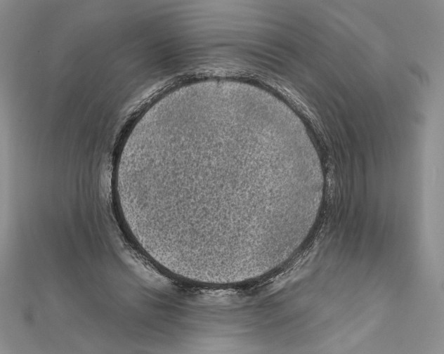 X0000111630446200908281138