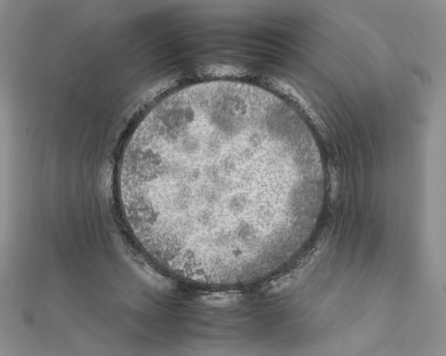X0000111630447200908281138
