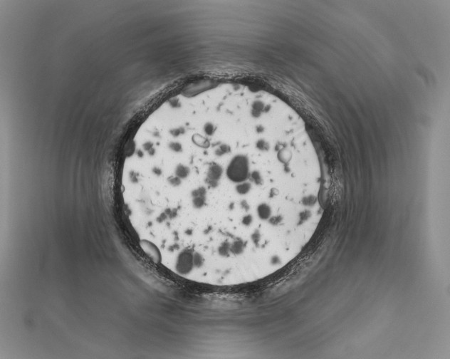 X0000111630448200908281138